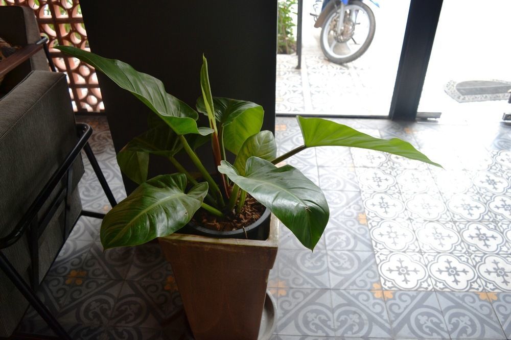 Monsoon Bassac Hotel Phnom Penh Dış mekan fotoğraf