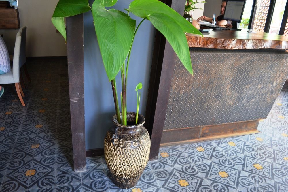 Monsoon Bassac Hotel Phnom Penh Dış mekan fotoğraf