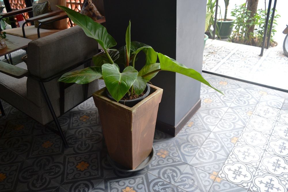 Monsoon Bassac Hotel Phnom Penh Dış mekan fotoğraf
