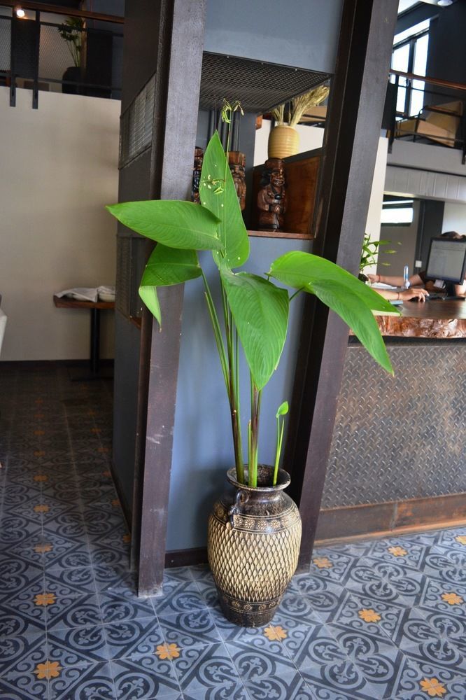 Monsoon Bassac Hotel Phnom Penh Dış mekan fotoğraf