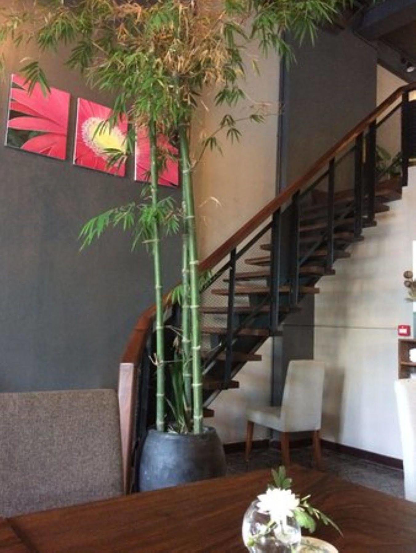Monsoon Bassac Hotel Phnom Penh Dış mekan fotoğraf